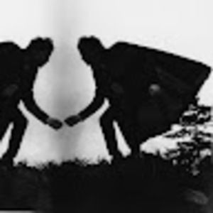 Meet your Posher, Sims